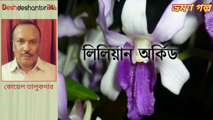 লিলিয়ান অর্কিড