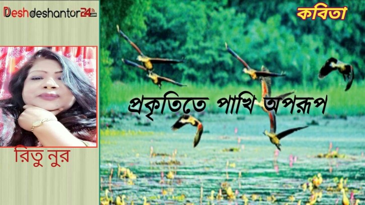 প্রকৃতিতে পাখি অপরূপ